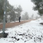 בתיקון-נזקי-השלג-חורף-תשעד-2