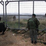 בהתקנת העירוב בקבר רחל