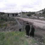 בשכונת מלחה