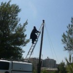 בתיקון ראשי עמודים